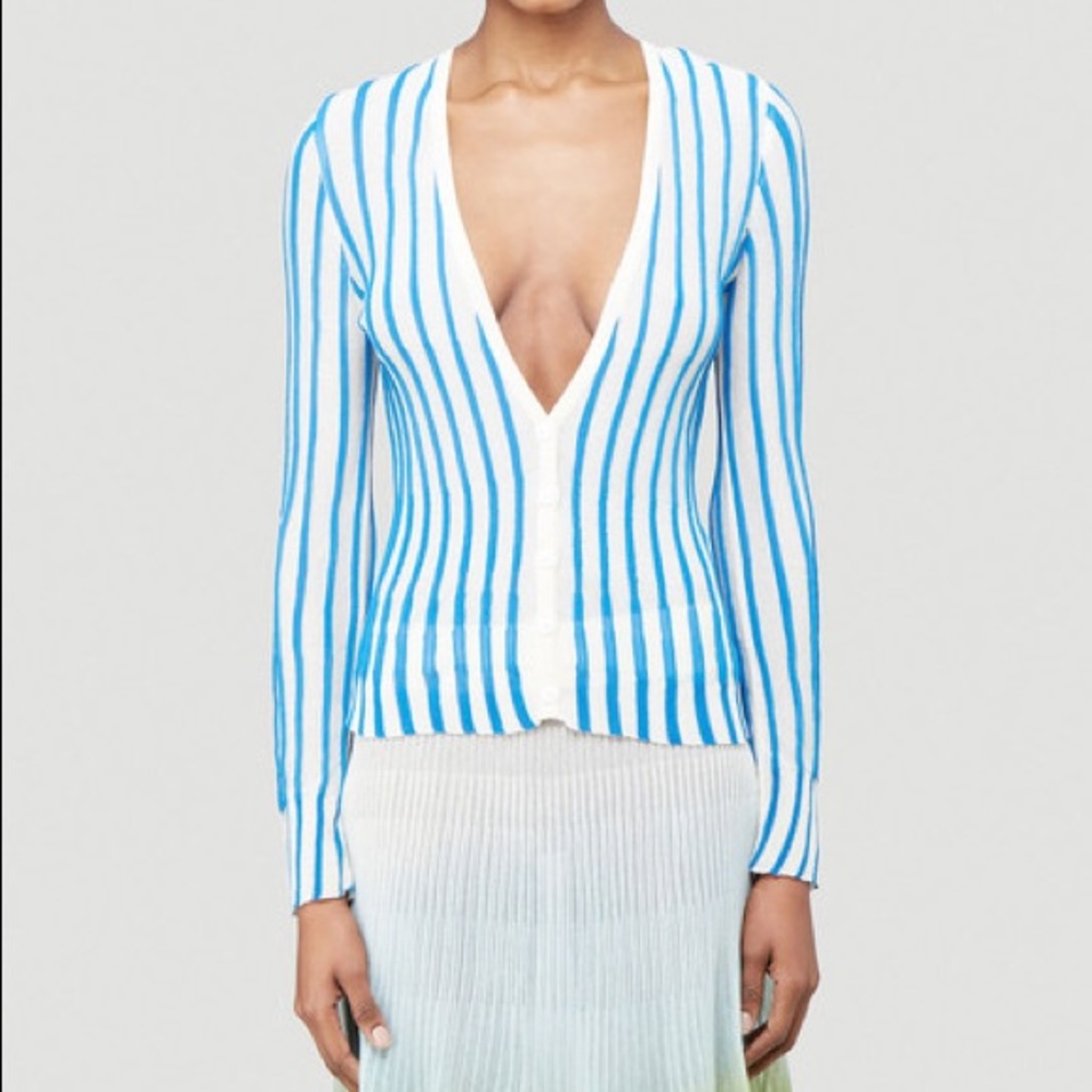 Blue striped cardigan ‼️THIS LIST WILL BE DELETED SOON‼️